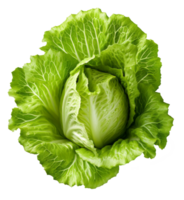 lettuce isolated on transparent background png