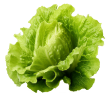 lettuce isolated on transparent background png