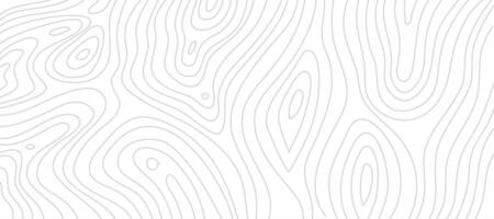 wood background. wood pattern. wavy wood background. Abstract wood line background. Wood outline background. vector
