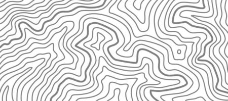 topographic contour background. abstract wavy background. contour background. modern Topographic map wallpaper. topographic background. vector