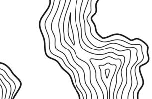 Wavy Contour background. Topographic contour background. contour lines background. Topographic map background. Abstract wavy background. vector