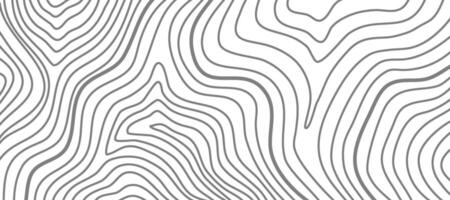 topographic contour background. abstract wavy background. contour background. modern Topographic map wallpaper. topographic background. vector