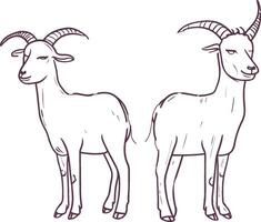 encantador cabras en pie juntos en un sencillo y elegante negro y blanco ilustración vector