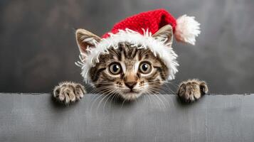 Cute kitten wearing red christmas hat peeking out mischievously from behind an empty banner photo