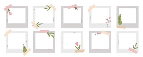Photo frames. Summer photo frames set with herbs, leaves and flowers. Collection in flat style. vector