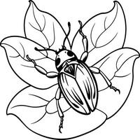 The beetle bug is an insect. A black and white coloring book. coloring pages for children. Insect coloring pages vector