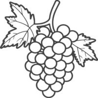 Grapes coloring pages for coloring book. Grapes fruits line art vector