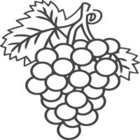 Grapes coloring pages for coloring book. Grapes fruits line art vector