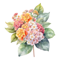 aquarelle bouquet fleur, aquarelle bouquet fleur conception png