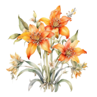 aquarelle bouquet fleur, aquarelle tasse conception fleur png