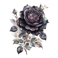 aquarelle rose, aquarelle rond ferme fleur png