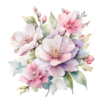 Watercolor flower, Watercolor design png