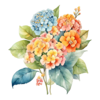acquerello fiore, acquerello design png