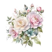 Aquarell Rose, Aquarell runden Bauernhof Blume png