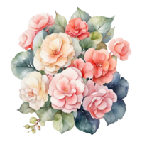 Watercolor flower, Watercolor design png