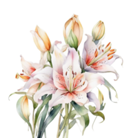 aquarelle fleur, aquarelle conception png