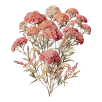 acuarela Rosa flor, acuarela flor png