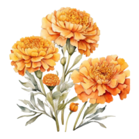 vattenfärg blomma, vattenfärg runda ram blomma design png