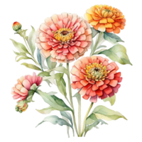 aquarelle bouquet fleur, aquarelle bouquet fleur conception png