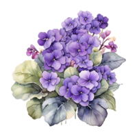 acquerello fiore, acquerello il giro telaio fiore design png