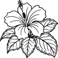 Hibiscus flower coloring pages. Flower line art vector