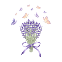 Lavender and butterflies. Provence floral bouquet purple with bow. Watercolor illustration spring flowers. Isolated hand drawn herbal. Template for card, packaging or tableware, textile, embroidery. png