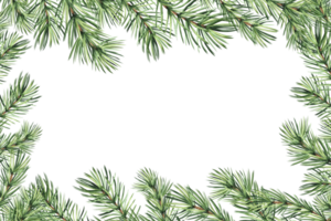 Navidad marco Clásico con pino árbol rama. abeto ramita con verde agujas mano dibujado acuarela ilustración tradicional invierno antecedentes. aislado modelo para tarjeta, invitación, nuevo año, impresión. png