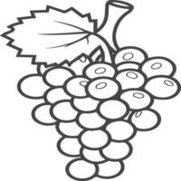 Grapes coloring pages for coloring book. Grapes fruits line art vector