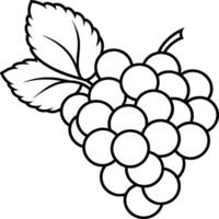 Grapes coloring pages for coloring book. Grapes fruits line art vector