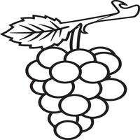 Grapes coloring pages for coloring book. Grapes fruits line art vector