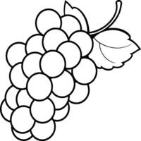 Grapes coloring pages for coloring book. Grapes fruits line art vector