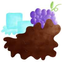 purple grape and chocolate. png