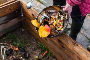 Person who put in a composter some kitchen waste like vegetables, fruits, eggshell, coffee grounds in order to sort and make bio fertilizer photo