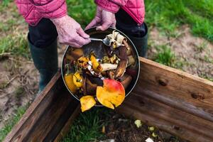 Person who put in a composter some kitchen waste like vegetables, fruits, eggshell, coffee grounds in order to sort and make bio fertilizer photo