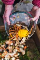 Person who put in a composter some kitchen waste like vegetables, fruits, eggshell, coffee grounds in order to sort and make bio fertilizer photo