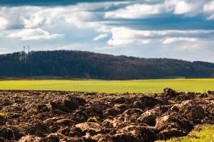 cultivado campo recién arado por soleado día foto