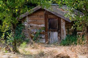 Pretty self-built wooden cabin in a wooded garden photo