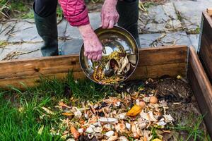 persona quien poner en un compostador algunos cocina residuos me gusta verduras, frutas, cáscara de huevo, café jardines en orden a ordenar y hacer bio fertilizante foto