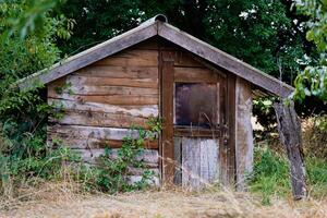 Pretty self-built wooden cabin in a wooded garden photo