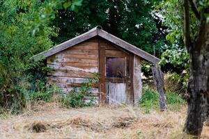 Pretty self-built wooden cabin in a wooded garden photo