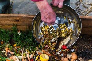 Person who put in a composter some kitchen waste like vegetables, fruits, eggshell, coffee grounds in order to sort and make bio fertilizer photo