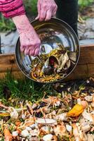 Person who put in a composter some kitchen waste like vegetables, fruits, eggshell, coffee grounds in order to sort and make bio fertilizer photo