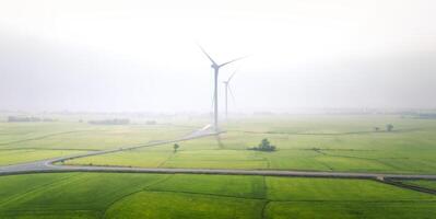 ver de turbina verde energía electricidad, molino para eléctrico poder producción, viento turbinas generando electricidad en arroz campo a phan sonó, ninh Thuan provincia, Vietnam foto