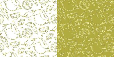 Outline lemons seamless pattern with fruit slices sketch style drawing vector