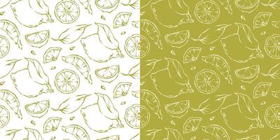 Outline lemons seamless pattern with fruit slices sketch style drawing vector