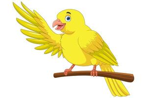 Cartoon yellow canary bird on a tree branch vector