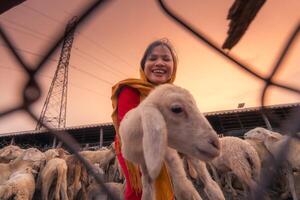 vietnamita mujer con Cordero en un campo, un oveja granja en el estepa zona en ninh Thuan provincia, Vietnam. foto