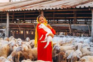 vietnamita mujer con Cordero en un campo, un oveja granja en el estepa zona en ninh Thuan provincia, Vietnam. foto