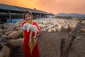 vietnamita mujer con Cordero en un campo, un oveja granja en el estepa zona en ninh Thuan provincia, Vietnam. foto