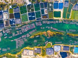 Aerial view of white shrimp, prawn, farm with aerator pump in O Loan lagoon , Phu Yen province, Vietnam photo